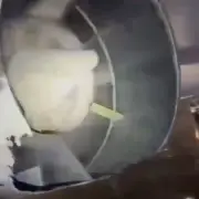 SriLankan Airlines Flight Engine Damaged by Lightning Strike