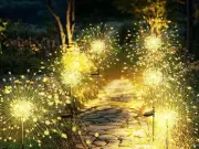 Starburst Solar Lights Transform Gardens, Shoppers Rave