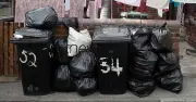 Stop Bin Smells in Hot Weather with One Household Item