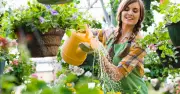 Stop Plants Wilting in Heatwave: Add Mushroom Water to Keep Them Hydrated