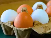 Store Eggs in Fridge Not Worktop to Keep Them Fresh Longer This Summer