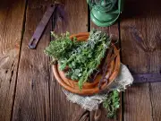 Store Fresh Herbs for Weeks: Simple Methods for Basil, Rosemary, Parsley