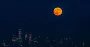 Strawberry Moon 2026: When and Where to See June Full Moon in UK