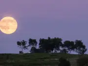 Strawberry Moon 2026: When and Where to See the June Full Moon