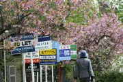 Subdued Housing Market May Be Starting to Stabilise, Surveyors Say