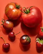 Summer Gardening: What to Plant, Harvest and Eat Now