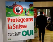 Swiss Reject Population Cap: Lessons from Anti-Immigration Vote