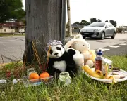 Sydney Mother's Anguish After Children Killed in Pram Crash