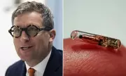 Tech bosses suggest microchip implants for tracking offenders in UK
