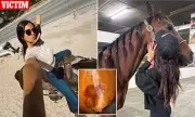 Teen barrel racer arrested for stabbing three horses at Las Vegas competition