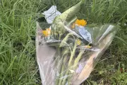 Teenage Boy Arrested on Suspicion of Murder After Girl, 14, Found Dead in Wales