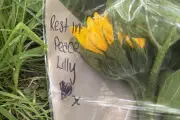 Teenager charged with murder of missing 14-year-old girl Lilly