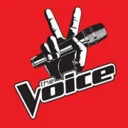 The Voice Star Dies at 28 Days After Final Message to Fans