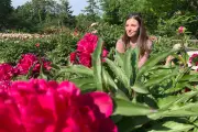 Thousands Flock to University of Michigan's Historic Peony Garden