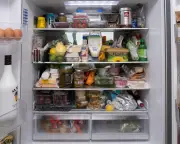 To Fridge or Not to Fridge: Share Your Food Storage Rules