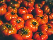 Tomato Prices May Rise as Energy Costs Spike, Says Mutti CEO