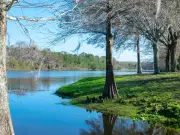 Tourist dies after alligator rips off her arm in Florida river attack