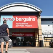 Transform Your Garden Fence with £30 Home Bargains Light-Up Ivy Trellis