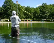 Trump blames vandalism for DC reflecting pool algae without evidence