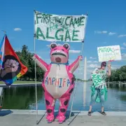 Trump Claims 'Pro-Algae' Vandalism at $16m Washington Reflecting Pool