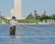 Trump Official Threatens Prosecution After Reflecting Pool Vandalism Arrests