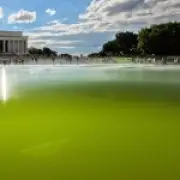 Trump's $14.7M Reflecting Pool Renovation Paint Peeling After Days
