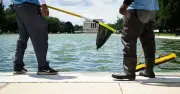 Trump's $14M Reflecting Pool Turns Green Again Due to Algae