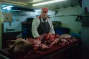 TV Tonight: Alien Autopsy Scandal Series and Dolly Parton Special