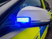 Two Men Discharged After Felling Incident Caught on Video