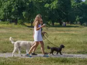 UK 34C Scorcher: Six Counties Hit by Yellow Heat Alerts on Friday