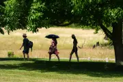 UK Breaks Hottest June Day Record Three Times in a Row at 37.3C