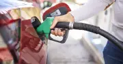 UK Drivers Ditch Petrol and Diesel Cars as Fuel Costs £20 More Per Tank
