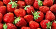 UK Family-Run Fruit Farm Enters Administration After 50 Years