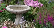 UK Gardeners Urged to Move Bird Baths to Shade Before 40C Heatwave