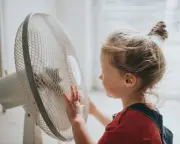 UK Grid Issues Rare Summer Warning as Heatwave Strains Supply