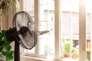 UK Grid Operator Issues Fresh Call for Power Amid Heatwave