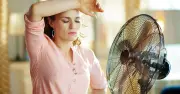 UK Heatwave: Why Electric Fans Are Useless Above 35C – Official Warning