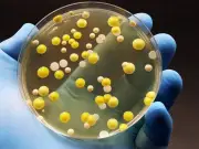UK Hot Tub Owners Warned of Legionnaires' Disease Risk During Heatwave