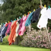 UK households urged not to dry clothes outdoors this week due to pollen alert