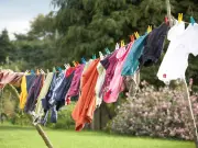 UK Households Warned: Don't Dry Clothes Outdoors Amid Very High Pollen