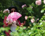UK Lagging on Extreme Heat Adaptation as Risks Escalate, Warns Guardian Editorial