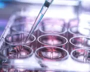 UK stem cell transplant system 'not fit for purpose', MPs warn