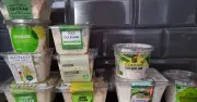 UK Supermarket Coleslaw Taste Test: Aldi Tops with KFC-Like Flavor