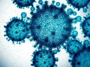 UK Travel Warning After Plague Death in New Mexico as Brits Head to USA for World Cup