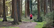 UK's 10 Most Scenic Running Routes Revealed: From Loch Lomond to Brighton