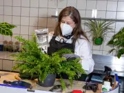 UK's First Plant Hospital Opens in Edinburgh Offering 'Surgery' for Houseplants