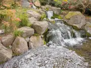 UK's Most Beautiful Japanese Garden in London Offers Tranquil Escape