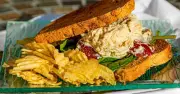 Upgrade Your Tuna Melt: Swap Mayo for Greek Yoghurt for a Tastier Sandwich