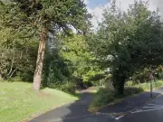 Urgent Hunt for Suspect After Girl, 12, Sexually Assaulted in Plymouth Woods