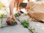Use Boiling Vegetable Water to Kill Patio Weeds, Say Experts
